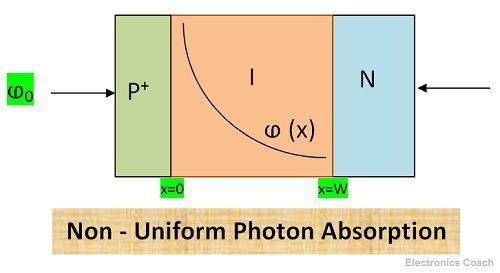 PIN Photodiode