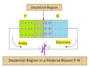 What Is Varactor Diode? - Construction, Working, Characteristics ...