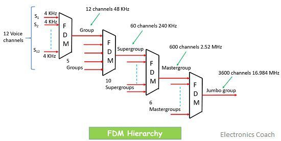 fdm hierarchy