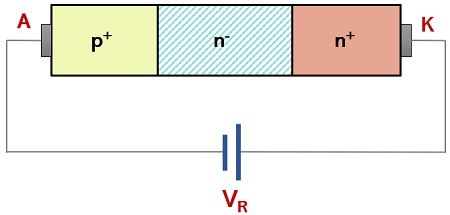 reverse biased condition of power diode